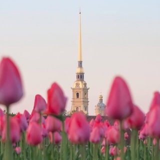 Аватар Telegram-канала Петроградский район СПб