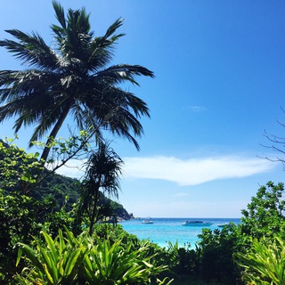 Аватар Пхукет 🌴 Отдыхать — не Работать