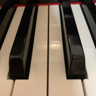 Аватар Telegram-канала Музыкальная школа онлайн «Импровизация» — фортепиано, вокал, сольфеджио, гармония, музыкальная теория, импровизация, композиция