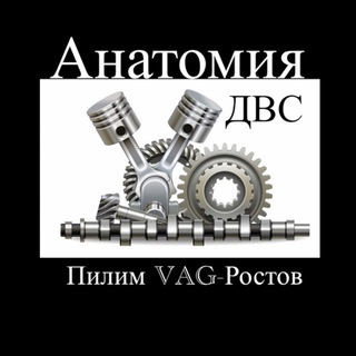 Аватар Telegram-канала Авторазборка «Пилим VAG-Ростов»