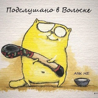 Аватар Telegram-канала Подслушано в Вольске