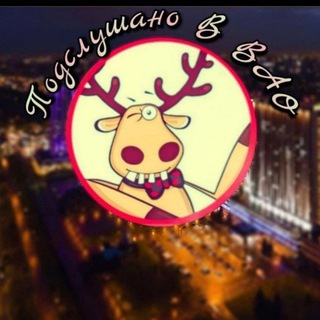 Аватар Telegram-канала Подслушано в ВАО