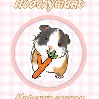 Аватар Telegram-канала Подслушано у морских свинок🐾