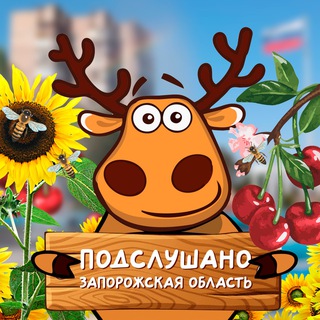 Аватар Telegram-канала Подслушано Запорожская область