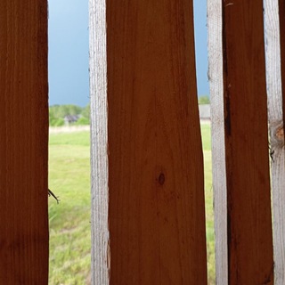 Аватар Telegram-канала Поелику понеже