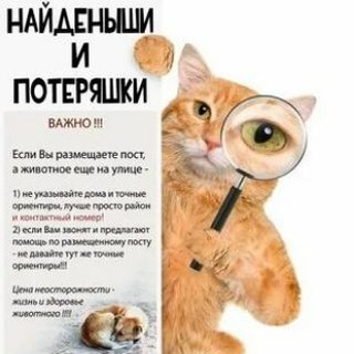Аватар Telegram-канала Животные-потеряшки Керчь и Ленинский район