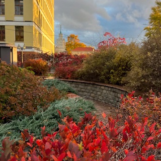 Аватар Telegram-канала Прогулки по Москве