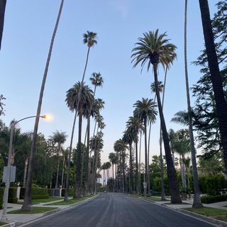 Аватар Прожектор Эмиграции