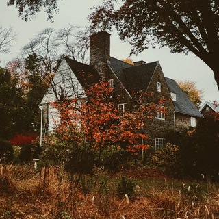 Аватар Telegram-канала Магия вне Хогвартса