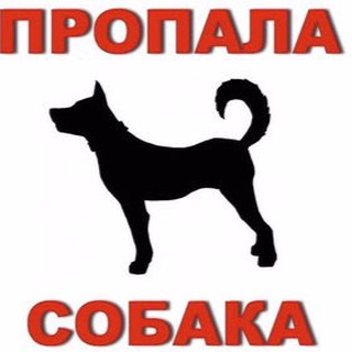 Аватар Telegram-канала Пропала/найдена собака