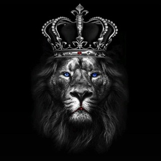 Аватар Telegram-канала ПРОРОЧЕСКАЯ КУЛЬТУРА