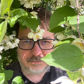 Аватар Игры, в которые играют люди