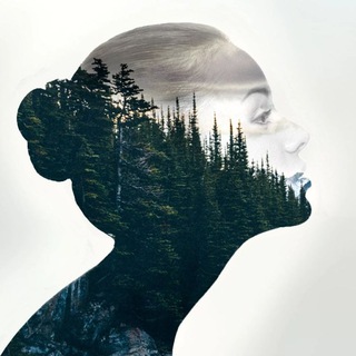 Аватар Telegram-канала Тёмная Психология