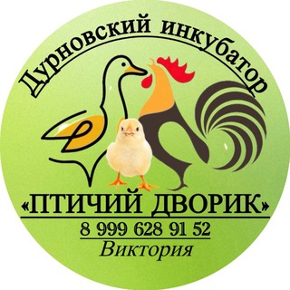 Аватар Telegram-канала Дурновский Инкубатор «Птичий дворик🐣»