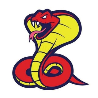 Аватар Python работа