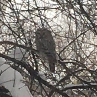 Аватар Telegram-канала ~подслушано в 62 школе~