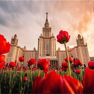 Аватар РАМЕНКИ РЕКОМЕНДАЦИИ