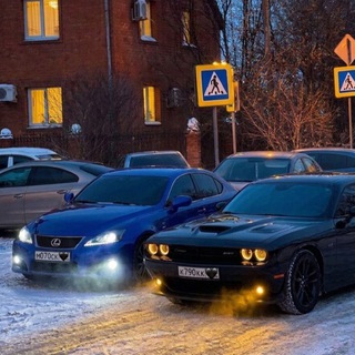 Аватар Telegram-канала Московский движ 🚨🫦