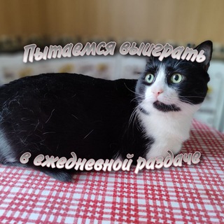 Аватар 🎄 Уже не пытаемся выиграть в ежедневной раздаче |GD| |CRK| 🎄