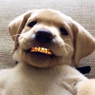 Аватар Ювелирка Рейзера💎