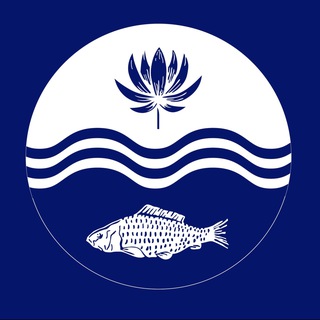 Аватар Администрация МО «Володарский район»