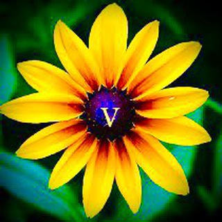 Аватар Telegram-канала Ремонт фар, бамперов СПБ «ViTmaster»