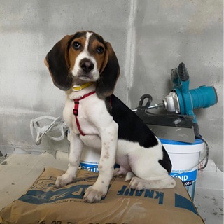 Аватар Telegram-канала Ремонт квартир в Рязани