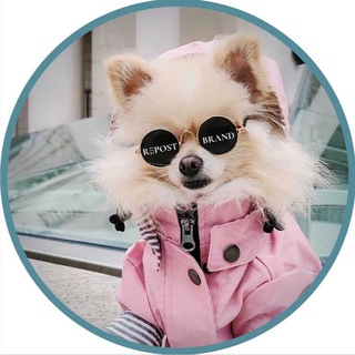 Аватар @REPOST_BRAND (магазин брендовой обуви, одежды и сумок)