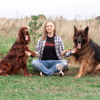 Аватар Telegram-канала River’s dog. Кинология. Собаки.