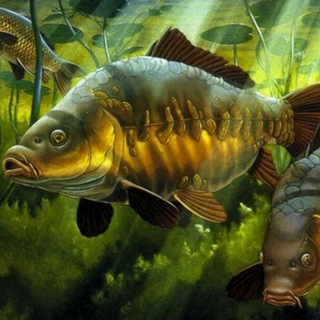 Аватар Telegram-канала Рыбалка Рыбинские Буды