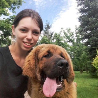 Аватар Telegram-канала Света Андреева | Пристройство собак