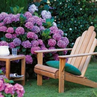 Аватар Telegram-канала Сад_Огород_Жанна