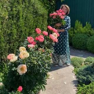 Аватар Telegram-канала Садовые цветы