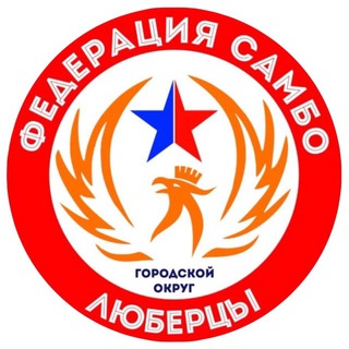 Аватар Telegram-канала Федерация самбо г.о. Люберцы