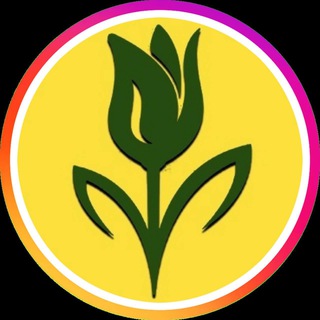Аватар Telegram-канала Доставка цветов Саратов