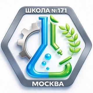 Аватар Школа 171