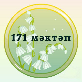 Аватар МБОУ «ШКОЛА 171»