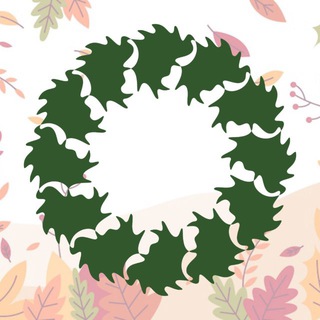 Аватар Telegram-канала Школа № 37 г. Вологды🍁