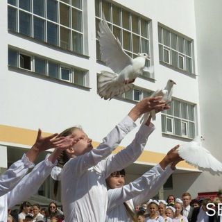 Аватар Telegram-канала Школа №46 г. Витебска им. И.Х.Баграмяна (Билево)