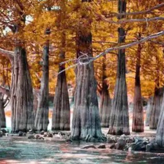 Аватар Telegram-канала Экскурсии Анапа