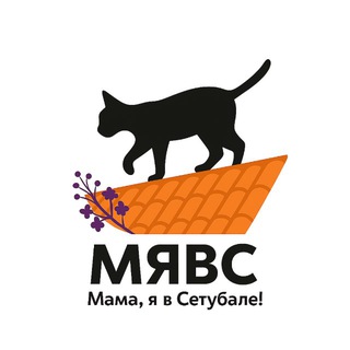 Аватар Telegram-канала Мама, я в Сетýбале! 🐈‍⬛
