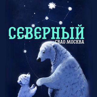 Аватар Северный СВАО Москва