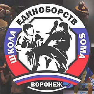 Аватар Telegram-канала Школа Единоборств — SOMA