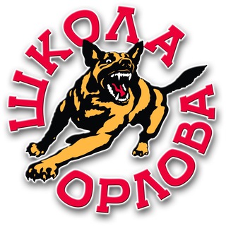 Аватар «Школа Орлова»: воспитание собак