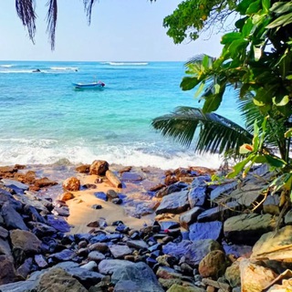 Аватар Telegram-канала Туры по Шри-Ланке&Суранга