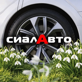 Аватар Telegram-канала СИАЛАВТО