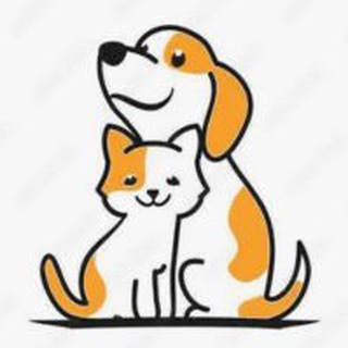 Аватар Telegram-канала КОТОПЁС | ВСЕ ДЛЯ ЗДОРОВЬЯ НАШИХ ПИТОМЦЕВ