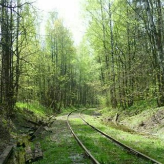 Аватар Telegram-канала ЖК Сказочный лес