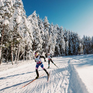 Аватар Telegram-канала Лыжные трассы, гонки СПб и не только