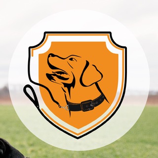 Аватар Telegram-канала Дрессировка собак СПб | Школа Кристины Скороспеховой